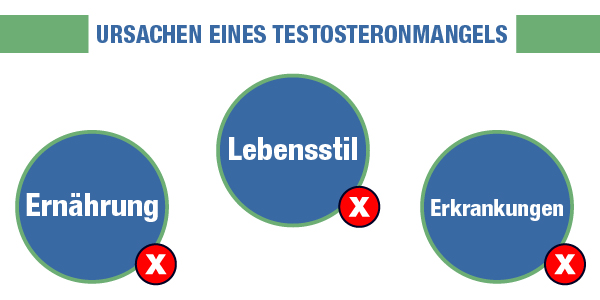 Ursachen-Testosteronmangel